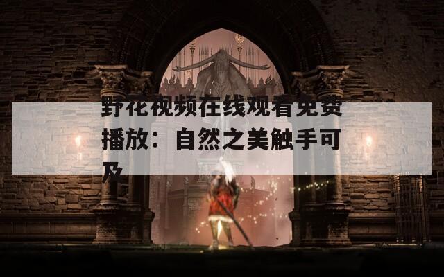 野花視頻在線觀看免費播放：自然之美觸手可及