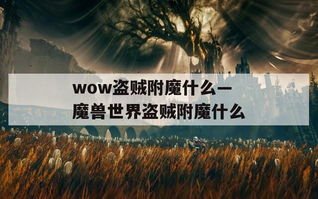 wow盜賊附魔什么—魔獸世界盜賊附魔什么