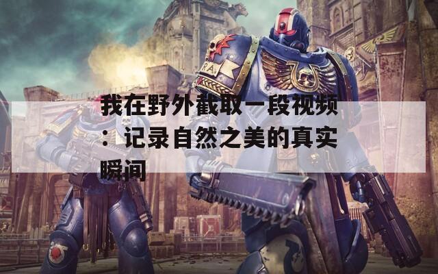 我在野外截取一段視頻：記錄自然之美的真實瞬間
