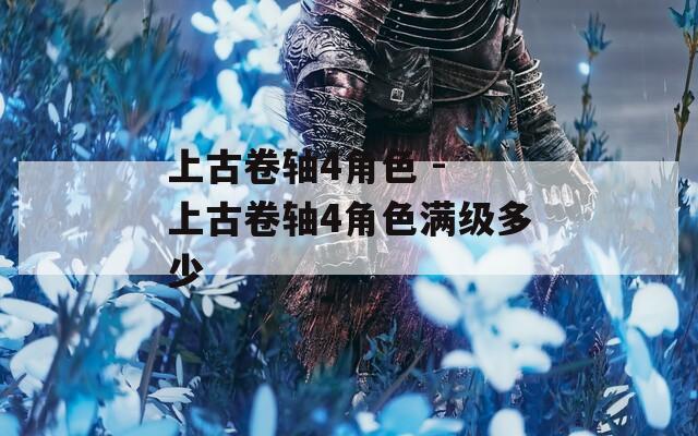 上古卷軸4角色 - 上古卷軸4角色滿級多少